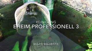 Eheim Professionel 3 Pflege und Reinigung HD [upl. by Caneghem]