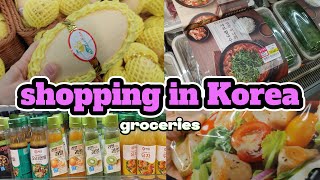 shopping in Korea vlog 🇰🇷 ㅣgrocery meal kit food haul with prices Emart [upl. by Geibel474]