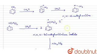 Write reactions of the final alkylation product of aniline with excess of methyl iodide in the p [upl. by Calendre]