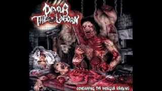 Devour The UnbornGorging On Abortions Lyrics [upl. by Enrobialc]