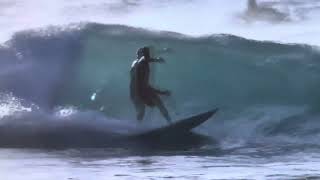 David Surfs Slow 2024 [upl. by Barbey730]