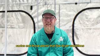 Tips From The Tent 7  Perlite vs Vermiculite Which One Does Your Garden Really Need [upl. by Eceirahs912]