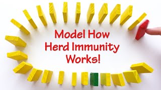 Model How Herd Immunity Works  STEM Activity [upl. by Petua559]