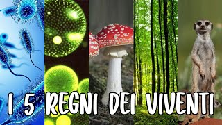 🦠🍄🌱🐹 I 5 REGNI DEI VIVENTI Monere Protisti Funghi Piante e Animali  Studiare SCIENZE 👩🏻‍🔬🔬 [upl. by Ekard]