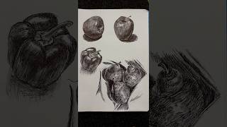 Ballpen art art drawing pen explore subscribe fyp [upl. by Arahas]