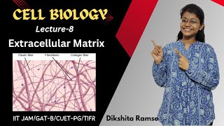 Cell Biology 08  Extracellular Matrix  IIT JAM Biotechnology [upl. by Auvil]