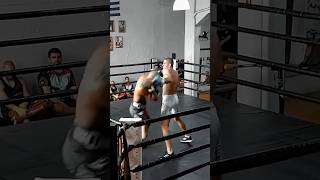 Boxing Sparring Alex Pereira [upl. by Ygief285]