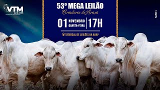 53º MEGA LEILÃO CRIADORES DE ARAXÁ  VTM E CONVIDADOS [upl. by Mcginnis593]