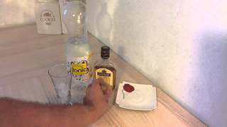 Faire un cocktail Cognac Tonic  Recette Cognac Tonic [upl. by Nennek]