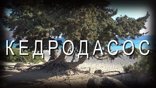 Греция КРИТ Кедродасос Вулолимни Аспри Лимни и Фаласарна [upl. by Nived]