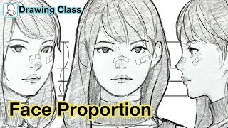 How to draw face  Face Proportions Drawing [upl. by Ha]