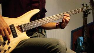 Red Hot Chili Peppers  Universally Speaking Bass Cover [upl. by Blinni]