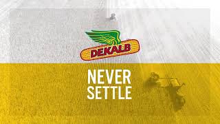 DEKALB® brand Always innovate Never settle 30 [upl. by Lubba552]