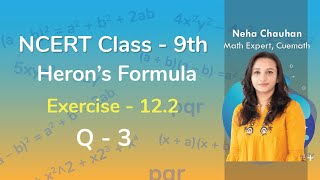 Class 12 Math NCERT  Chapter 9 Differential Equation  Ex 91 Introduction  Solution [upl. by Jung]