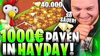 😍😰1 MAL HayDay  Rekord im PAYEN  Ich mache meine ZUSCHAUER Toxic [upl. by Elburr432]