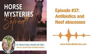 Antibiotics and Hoof abscesses [upl. by Scandura]