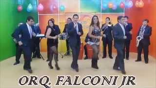 MIX Nuevo Orquesta Falconi Jr [upl. by Romo]