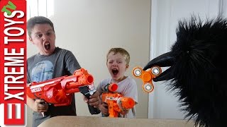 Wild Crow Steals Fidget Spinner Wild Toy Feathered Beast Vs Ethan Vs Cole Nerf Blaster Battle [upl. by Lidia]