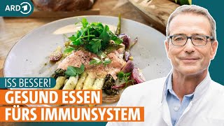 Gemüse Fisch und Hülsenfrüchte fürs Immunsystem  Iss besser  ARD GESUND [upl. by Suoivatnom254]