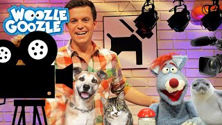 Wie werden Tiere für Film und Fernsehen trainiert l WOOZLE GOOZLE [upl. by Fedak]