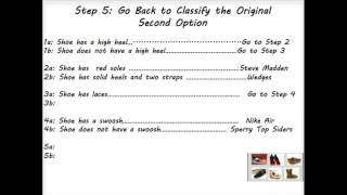 How to Make a Dichotomous Key [upl. by Liddle]