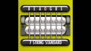 Perfect Guitar Tuner 7 String Standard  B E A D G B E [upl. by Puff245]