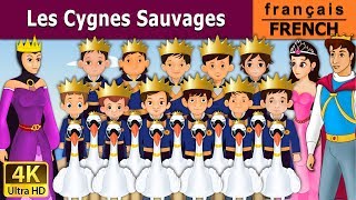 Les Cygnes Sauvages  Wild Swans in French  Histoire Pour Les Petit  Contes De Fées Français [upl. by Thia]