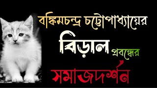 বঙ্কিমচন্দ্র চট্টোপাধ্যায়ের বিড়াল প্রবন্ধের আলোচনা  কমলাকান্তের দপ্তর  kamalakanter Daptar [upl. by Yaffit]