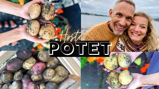 POTETER I KJØKKENHAGEN 🥔 Hvordan høste og lagre poteter Tips til å dyrke poteter [upl. by Telimay]