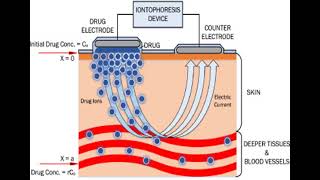 LEC 8 Physical methods for penetration enhancement شرح بالعربي [upl. by Lierbag]