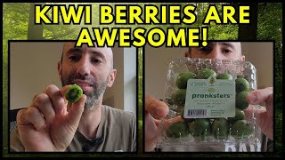 Kiwi Berries Are Awesome [upl. by Willi]