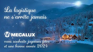 Meilleurs voeux de fin dannée 2023  Mecalux [upl. by Ednyl266]