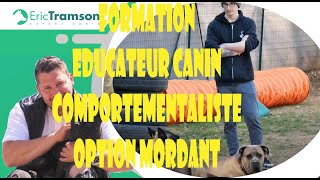 COMMENT DEVENIR UN BON EDUCATEUR CANIN COMPORTEMENTALISTE [upl. by Nylarej]