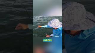 What a catch tarpon fishing chokoloskee [upl. by Rebane]