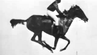 The horse in motion Eadweard Muybridge 1878 First Film Ever [upl. by Citron]