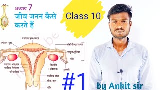 जीव जनन कैसे करते हैं क्लास 10 jivo me Janan kaise hota hai neet education video [upl. by Duky]