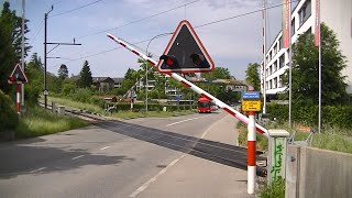 Spoorwegovergang Bern CH  Railroad crossing  Bahnübergang [upl. by Nerraw]