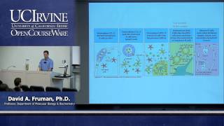 Biological Sciences M121 Immunology with Hematology Lecture 15 Immunity by B Cells amp Antibodies [upl. by Louise]