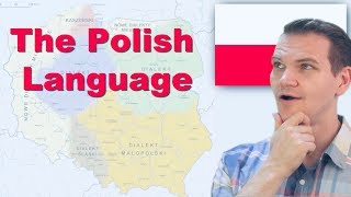 The Polish Language Is this real [upl. by Silvestro]