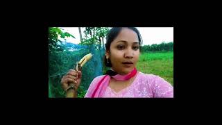 কিছু মানুষ জীবন আসে viralvideo sot foryou [upl. by Etka608]