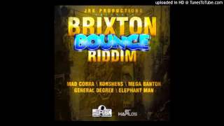 DJ LYTA  BRIXTON BOUNCE RIDDIM MIXX [upl. by Daht]