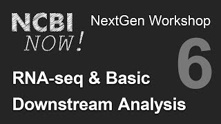 NCBI NOW Lecture 6 RNAseq and Basic Downstream Analysis [upl. by Ladonna]