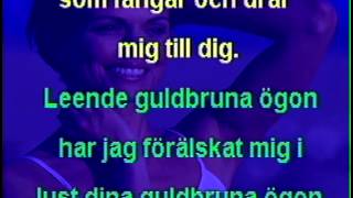 Leende guldbruna ögon karaoke [upl. by Leind711]