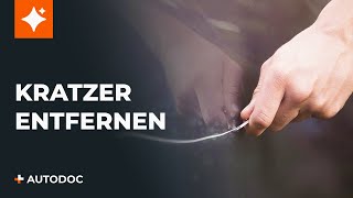 Wie man Kratzer von einem Auto entfernt  Tipps von AUTODOC [upl. by Riek14]