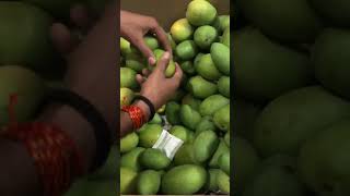 आम पकाने की विधि how ethylene use for mango ripening youtubeshorts ytshort shorts viral [upl. by Ahnavas]