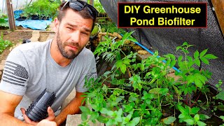 DIY Greenhouse Pond Biofilter Observations amp Insight  Habitat Creation [upl. by Terrej]