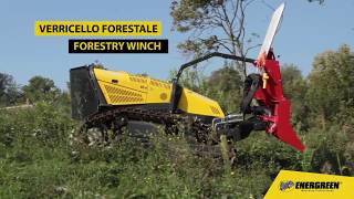 RoboMAX  Verricello forestale  Forestry Winch  Energreen [upl. by Mauri]