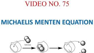 Michaelis Menten Equation step by step derivation with Enzyme Catalysis [upl. by Roddie]