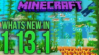 Whats New In Minecraft 1131 Java Edition [upl. by Emoraj]