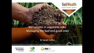 Nematodes in vegetable soils managing the bad and good ones with Dr Sarah Collins [upl. by Keeton]